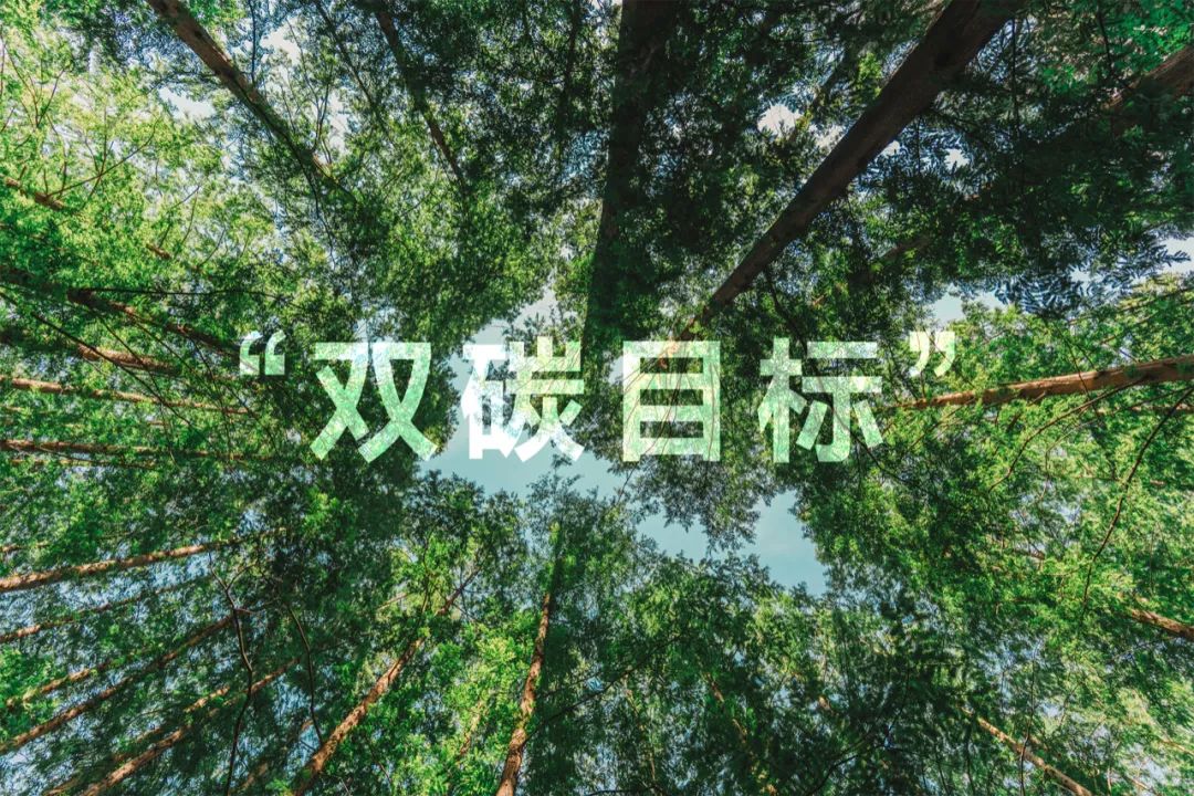 聚焦“双碳”未来 东旭918博天堂深化光伏业务战略布局